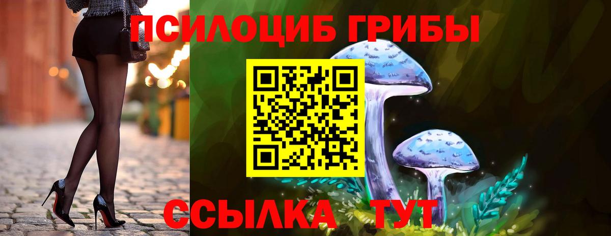 Псилоцибиновые грибы мухоморы  Вход с VPN  Камышлов 