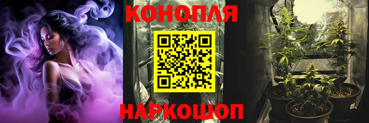 Конопля SATIVA & INDICA  Вход с VPN  Камышлов  Конопля THC 21% 